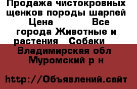 Продажа чистокровных щенков породы шарпей › Цена ­ 8 000 - Все города Животные и растения » Собаки   . Владимирская обл.,Муромский р-н